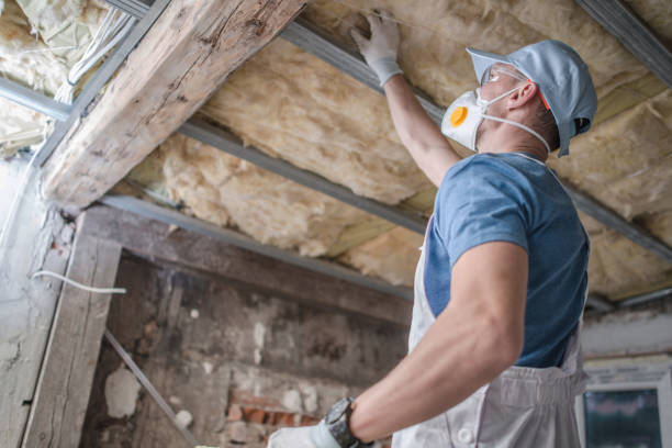 Best Residential Insulation in Belleview, FL