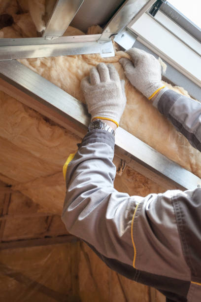 Best Fiberglass Insulation in Belleview, FL
