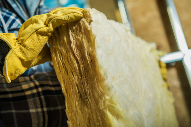 Trusted Belleview, FL Insulation Contractor Experts