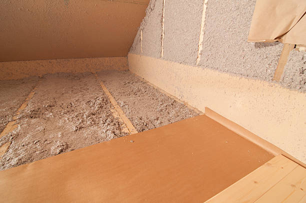 Best Geographic-Specific Insulation Services in Belleview, FL