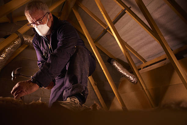 Best Insulation for Specific Applications in Belleview, FL